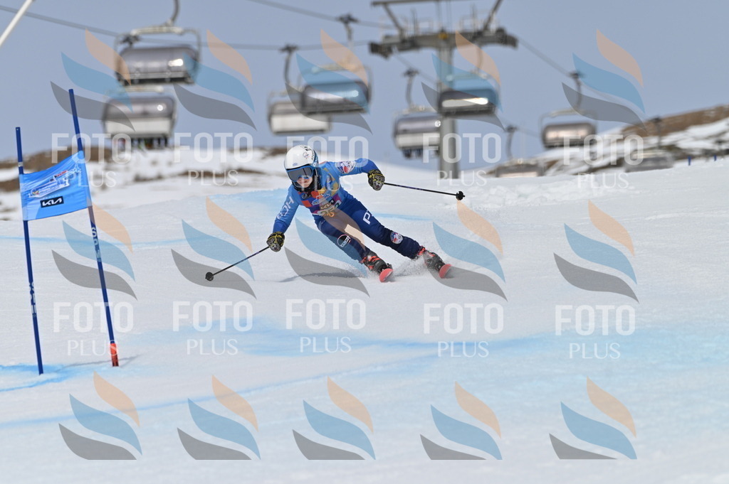 BGV_4992 | holidayphoto