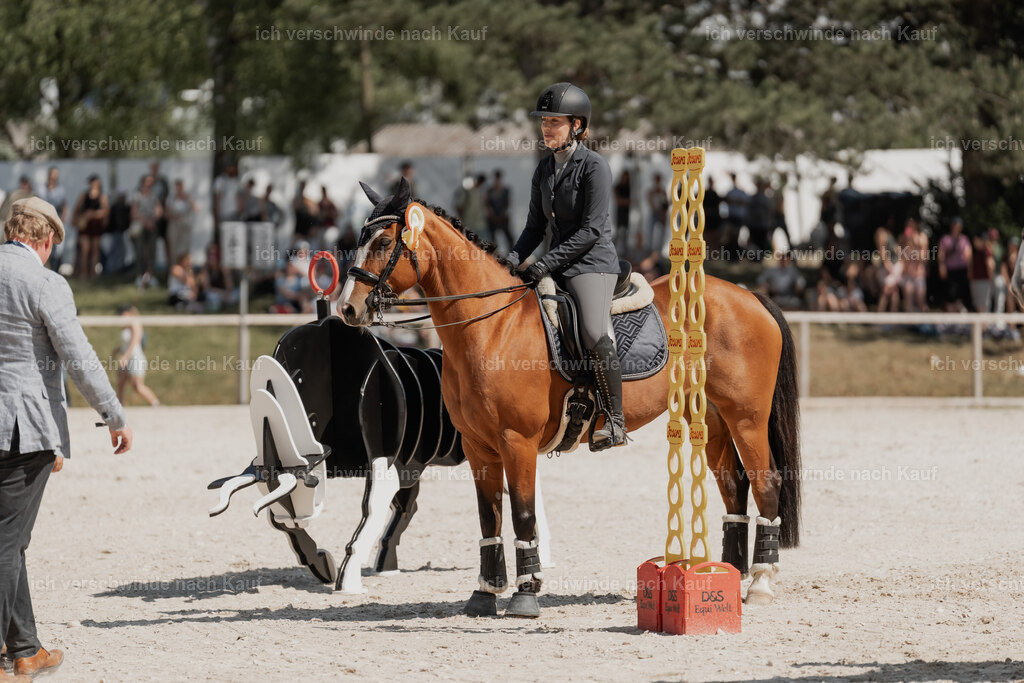 WE_SP_Stoib_Siegerehrung_PI2025_2225 | Pferd International München 2025