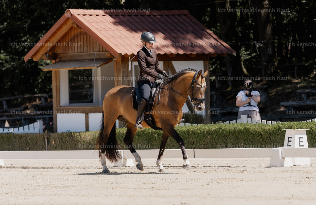WE_DR_23_SinaFilmArt_IN02962 | working equitationturnier fotograf videograf stoibphotography marixx film working equitation deutschland reitsport turnierfotografie eventfotografie equestrian events