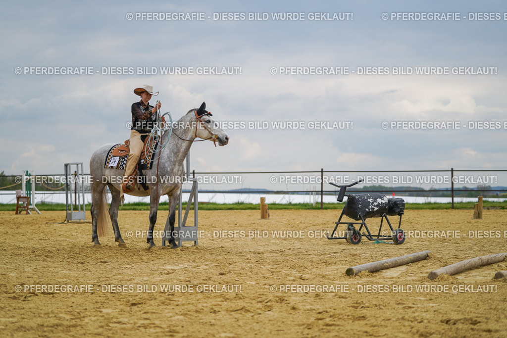 DSC07348 | Pferdegrafie