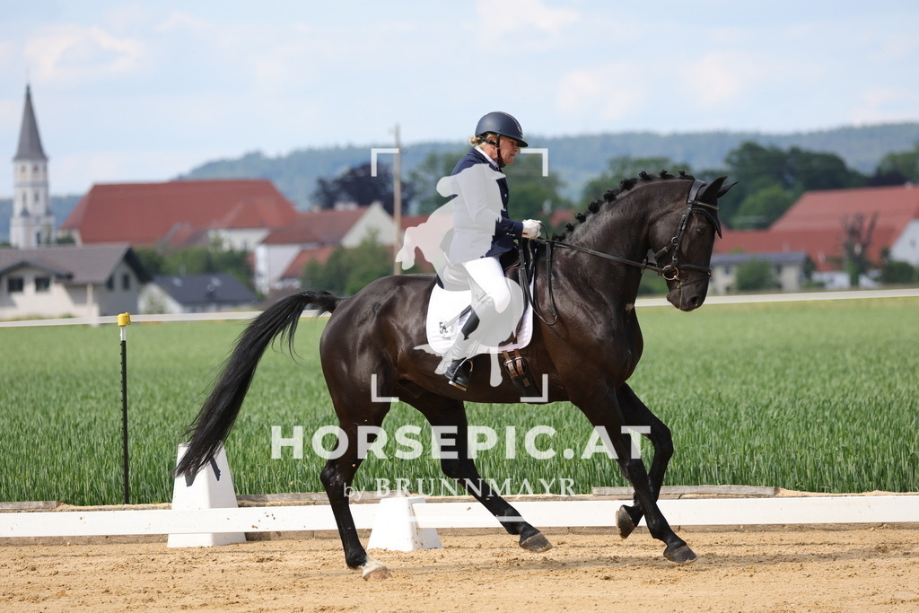 0P6A9097 | Willkommen bei Brunnmayr - Design & Fotografie – Ihrem Spezialisten für Reitturniere und Pferdeveranstaltungen in Oberösterreich, Salzburg und Bayern! Seit über 17 Jahren sind wir leidenschaftlich dabei.