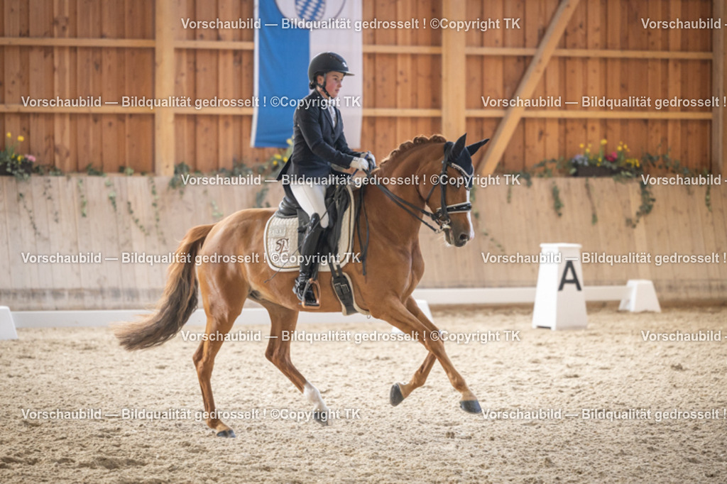 _D5A6121 | Emotionale Pferde- & People-Fotografie rund um Heidelberg, Leimen & Umgebung. Natürliche Fotos von Pferd, Mensch & Familie. Jetzt Termin sichern!