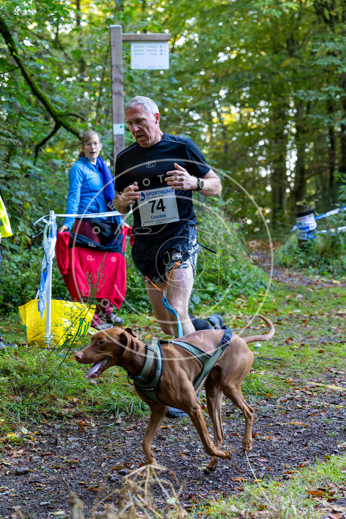 Pfotenfotografie_DV3A7431 | Hundefotografie, Tierfotograf, Pfotenfotografie, Fotoshooting Hund, Hunde Portrait, Hundesport, Hundeportraits, Heideshooting, Hunde, Sportfotograf, Hundefotograf, Turnierhundsport, THS,  - Realisiert mit Pictrs.com
