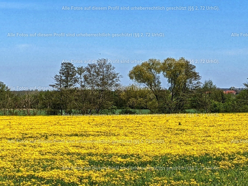 PXL_20210510_125143852-01 | krollfotografie - Realisiert mit Pictrs.com