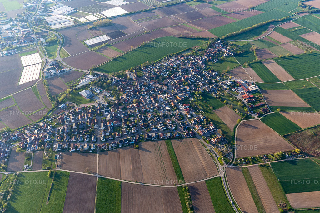 Luftbild: Ortsansicht im Ortsteil Schuttern in Friesenheim im Bundesland Baden-Württemberg in Deutschland. Foto: IMG_126576.jpg vom 25.04.2021 durch Werner Riehm/FLY-FOTO.de
