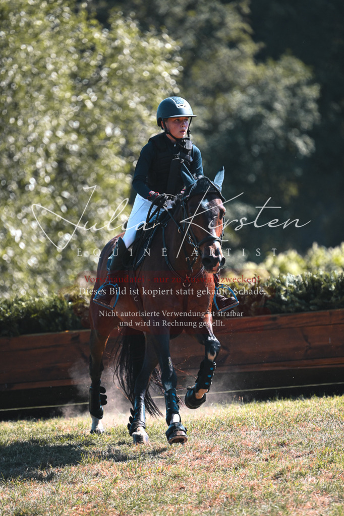 DSC_8382 | Pferde- und Turnierfotografie in Westsachsen. Pferdeportraits, Auftragszeichnungen und intuitive Kunst.