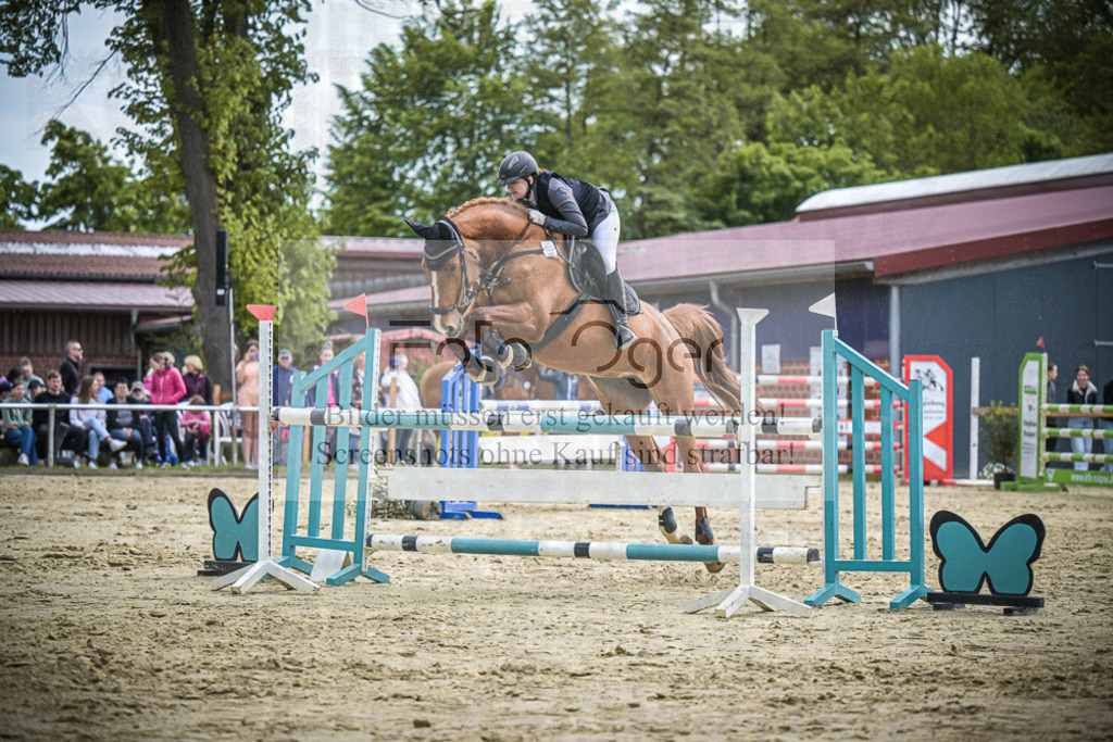 DOS_2425 | Entdecke hochwertige Reitturnierfotos von Foto Oger. Professionell, emotional und authentisch – jetzt Lieblingsmomente im Shop bestellen.Deutschlandweite Turnierfotografie. - Realisiert mit Pictrs.com