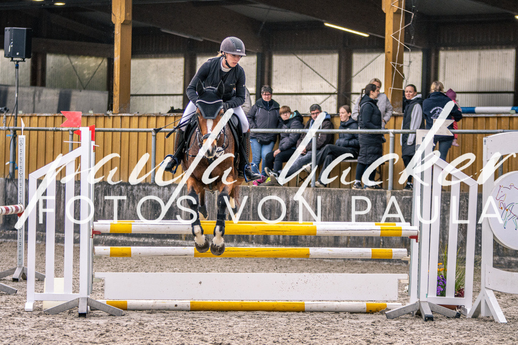 IMG_4961 | Erleben Sie dynamische Sport- und emotionale Tierfotografie in Süddeutschland mit Fotos von Paula. Spezialisiert auf Pferde- und Hundefotografie sowie Sportevents. Kontaktieren Sie mich für einzigartige und ausdrucksstarke Bilder Ihrer besonderen Momente. - Realisiert mit Pictrs.com