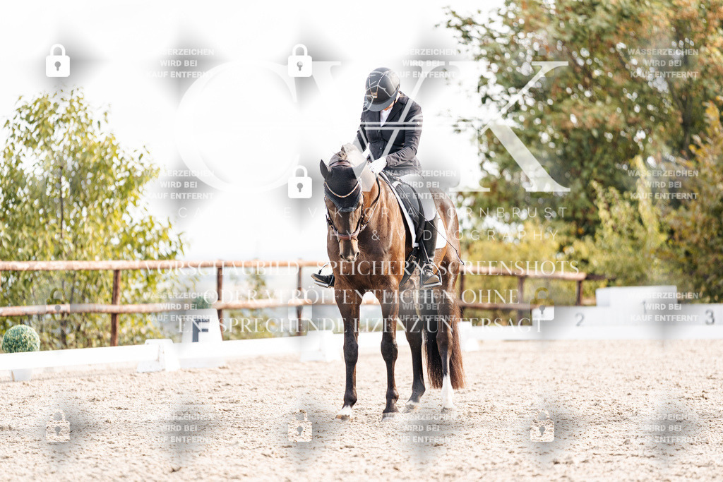 CK901182 | Turnierfotografie Pferdefotografie Trier Rheinland-Pfalz Pferdesport Reitsport Tierfotografie Sportfotografie Pferdevideo Pferdevideografie Equestrianvideography equestrianphotography  - Realisiert mit Pictrs.com