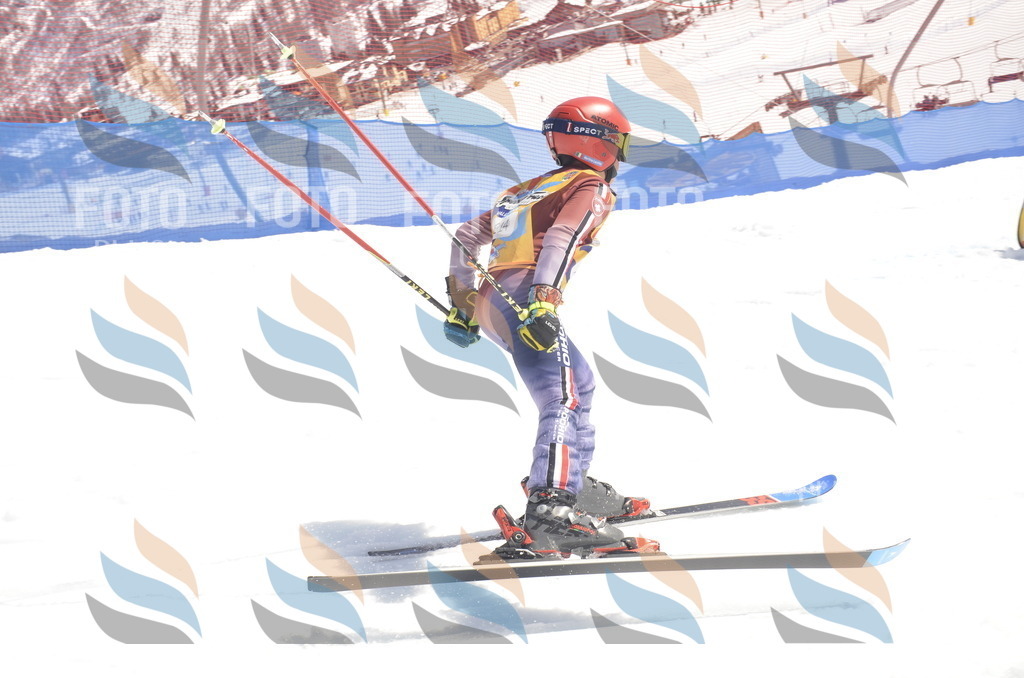 _ELE9508 | holidayphoto