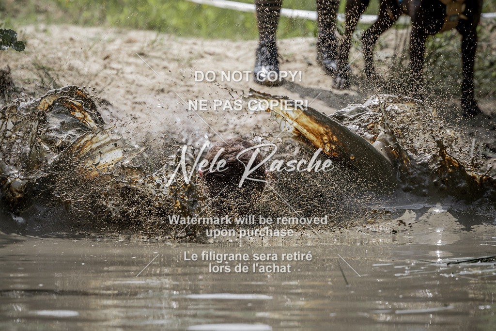 nelerasche_so1145-1230_260 | nelerasche