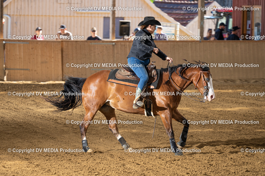 DSC00010 | dv-media-shop - Realisiert mit Pictrs.com