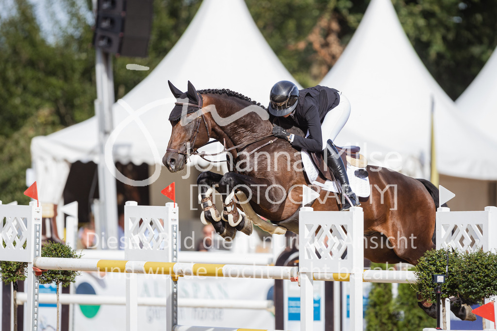 230903_HKM-BCH_Finale6j-100 | Deine schönsten Turniermomente als professionelle Fotos! Entdecke hochwertige Pferdesport-Fotografie im Online-Shop. Jetzt Fotos finden & bestellen!