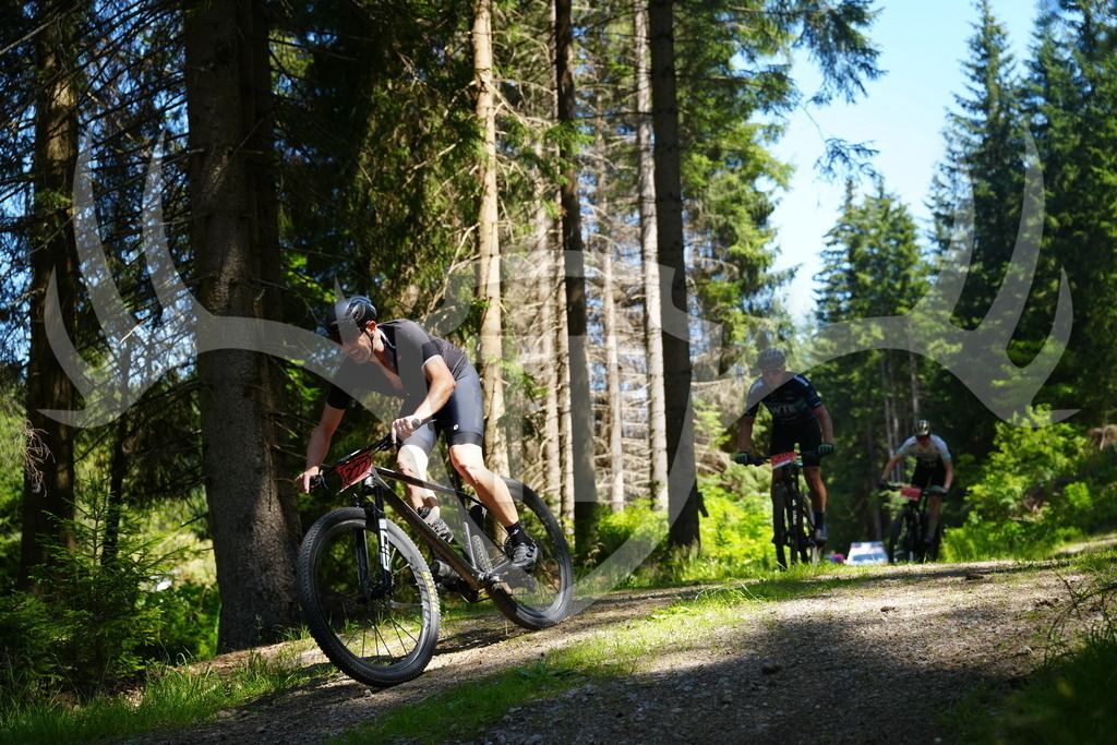 FC101649 | Fotogalerie der Treibjagd im Dunkelwald - Dein MTB Etappenrennen im Erzgebirge - Realisiert mit Pictrs.com