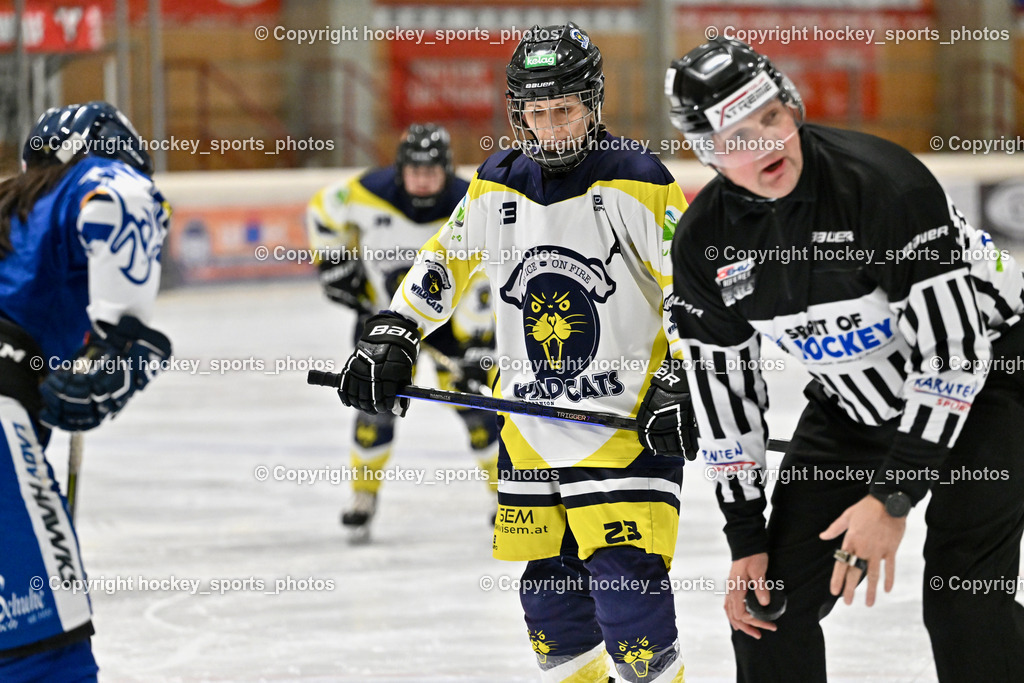 Wildcats Paternion vs. Lady Hawks  | #23 Stuppnig Iris WILDCATS PATERNION, Sintschnig Christain Referee, Wildcats Paternion vs. Lady Hawks , Wildcats Paternion vs. Lady Hawks  am 27.01.2025 in Spittal an der Drau (Eissportzentrum Spittal), Austria, (Photo by Bernd Stefan)