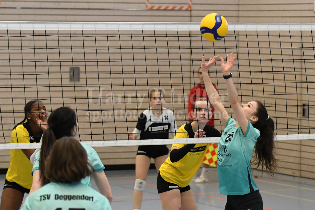 TSV Deggendorf Damen  : FC Ruderting | TSV Deggendorf Damen Volleyball - Realisiert mit Pictrs.com