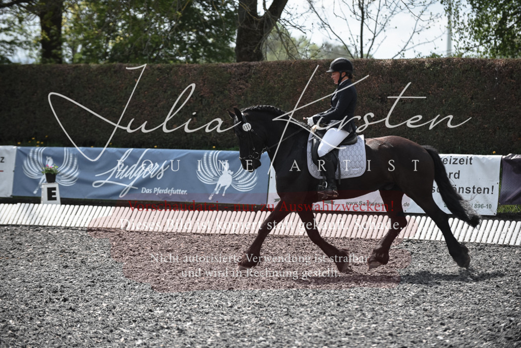 20230513_JK-Röhrsdorf-14-916 | Pferde- und Turnierfotografie in Westsachsen. Pferdeportraits, Auftragszeichnungen und intuitive Kunst.