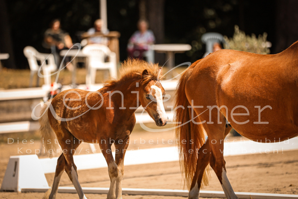 04.DoWP00002 | Leoni Ertmer Photography - Realisiert mit Pictrs.com