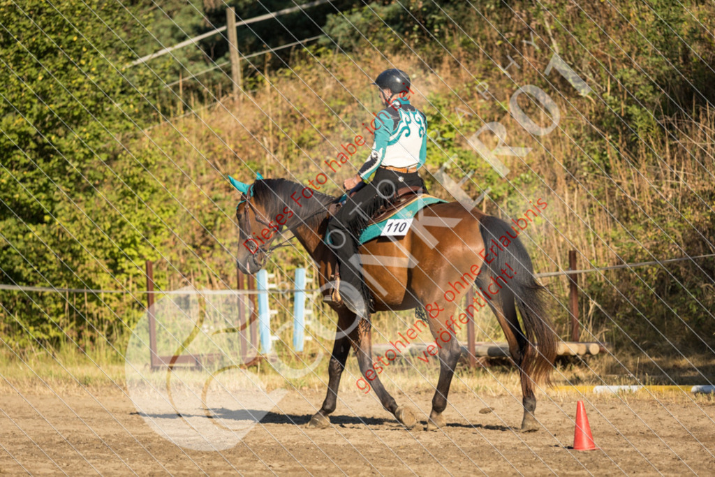 IMG_6134 | Sport-, Event- und Tierfotos in Profiqualität. Einfach auswählen, bestellen und herunterladen. Dein Moment – perfekt festgehalten.