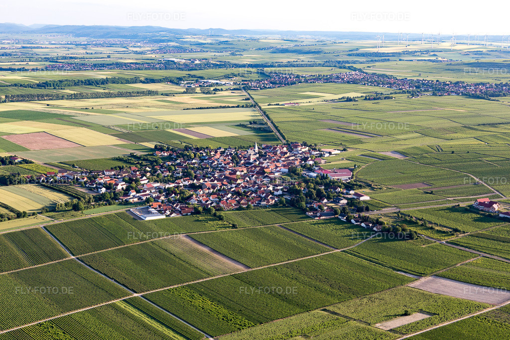 Luftbild: Landwirtschaftliche Nutzflächen und Feldgrenzen umsäumen das Siedlungsgebiet des Dorfes in Gundheim im Bundesland Rheinland-Pfalz in Deutschland. Foto: IMG_107663.jpg vom 03.06.2018 durch Werner Riehm/FLY-FOTO.de
