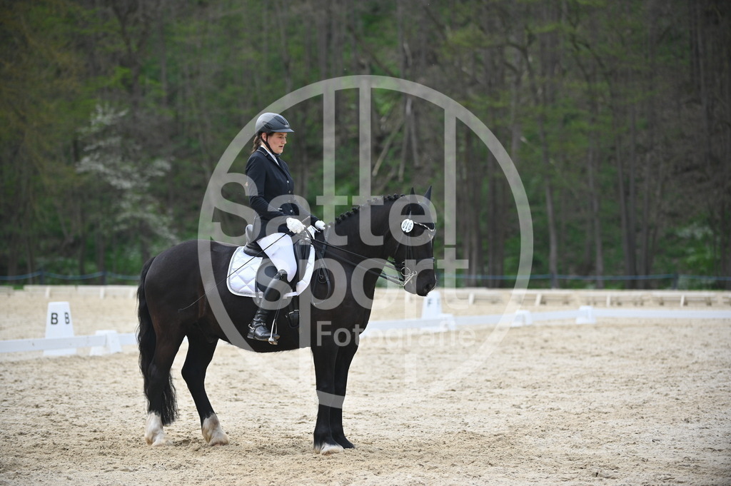 DSC_5183 | sattelsport - Realisiert mit Pictrs.com