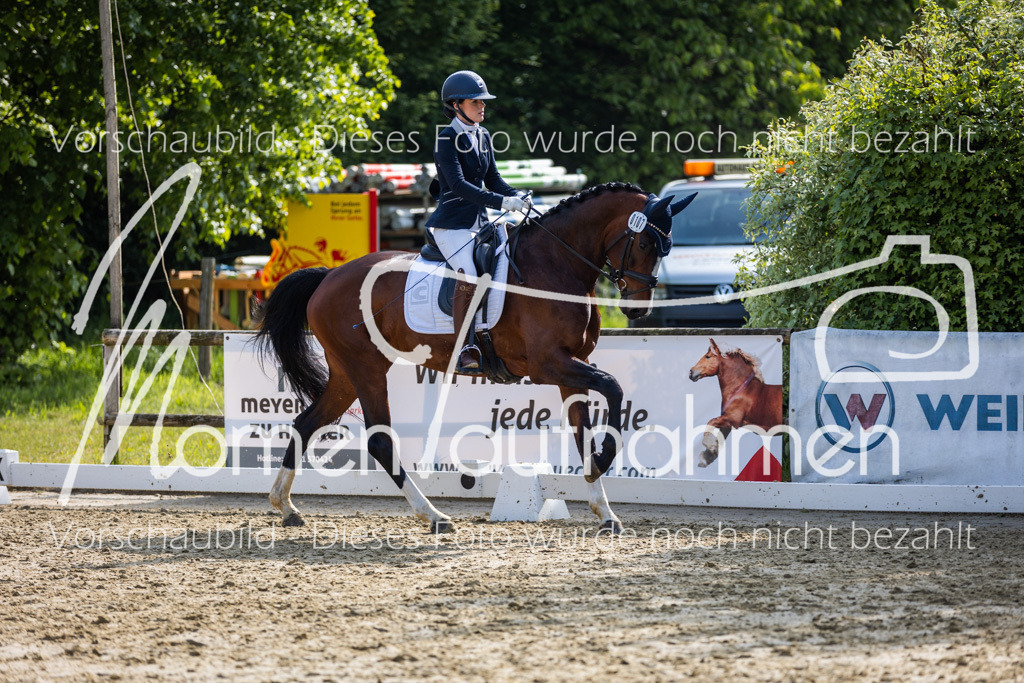 Donop24-A2-Dre-020 | MomenTaufnahmen Pferdesportfotos