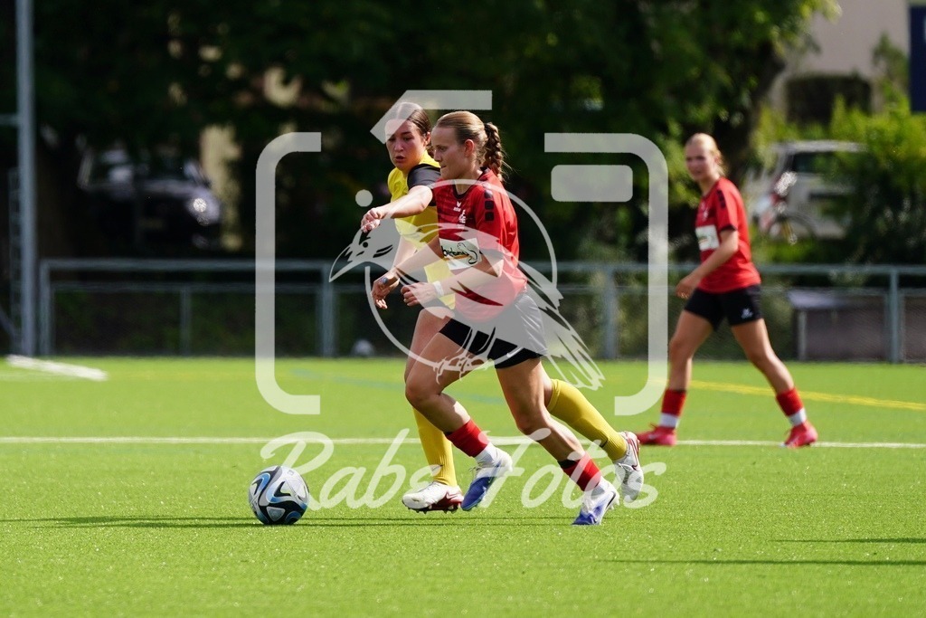 SON08830 | rabefotos