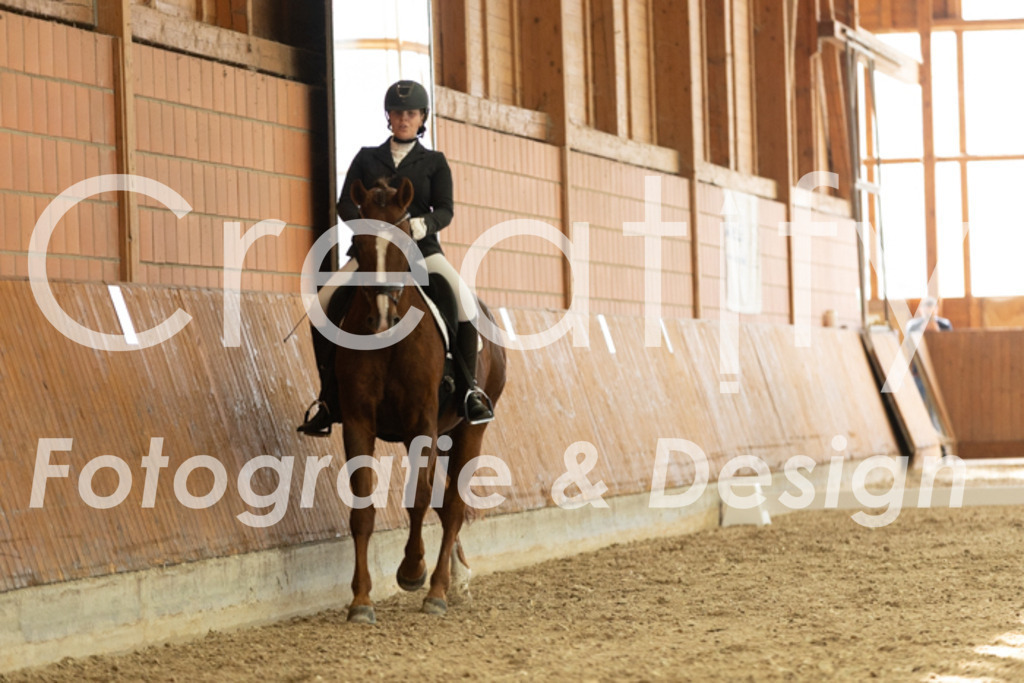 IMG_2835 | Creatify Fotografie