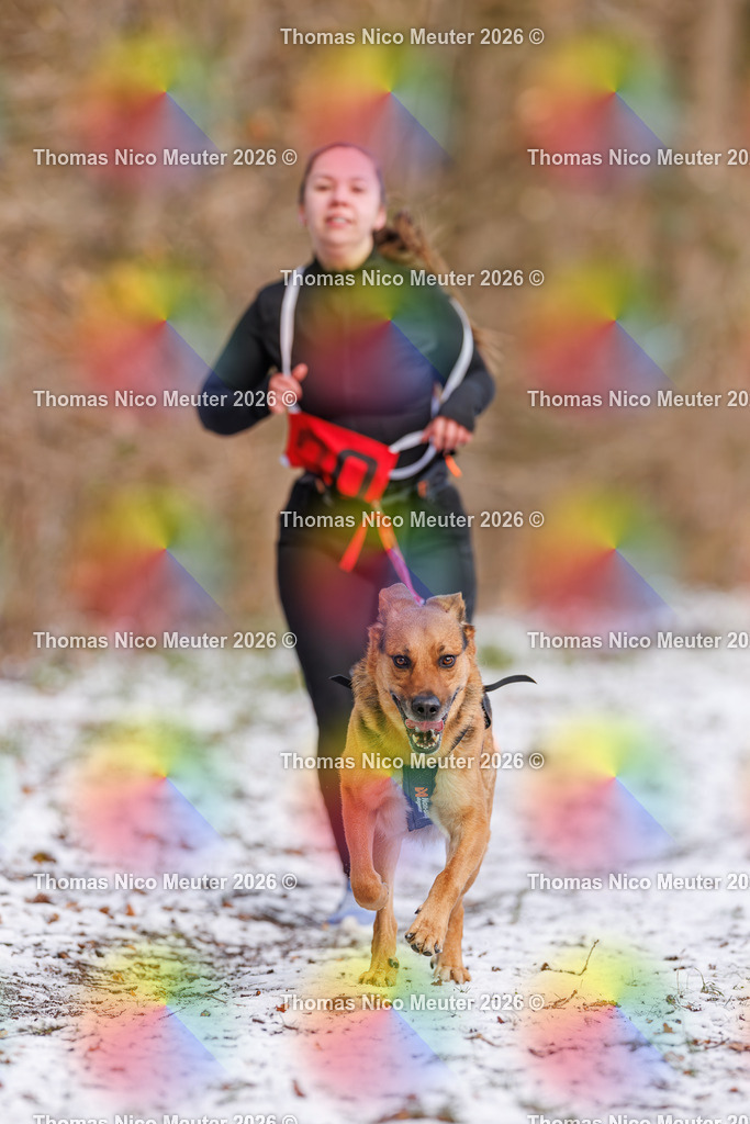 Thomas_Nico_Meuter(C)_223A8544 | Bild von Thomas Nico Meuter - Realisiert mit Pictrs.com