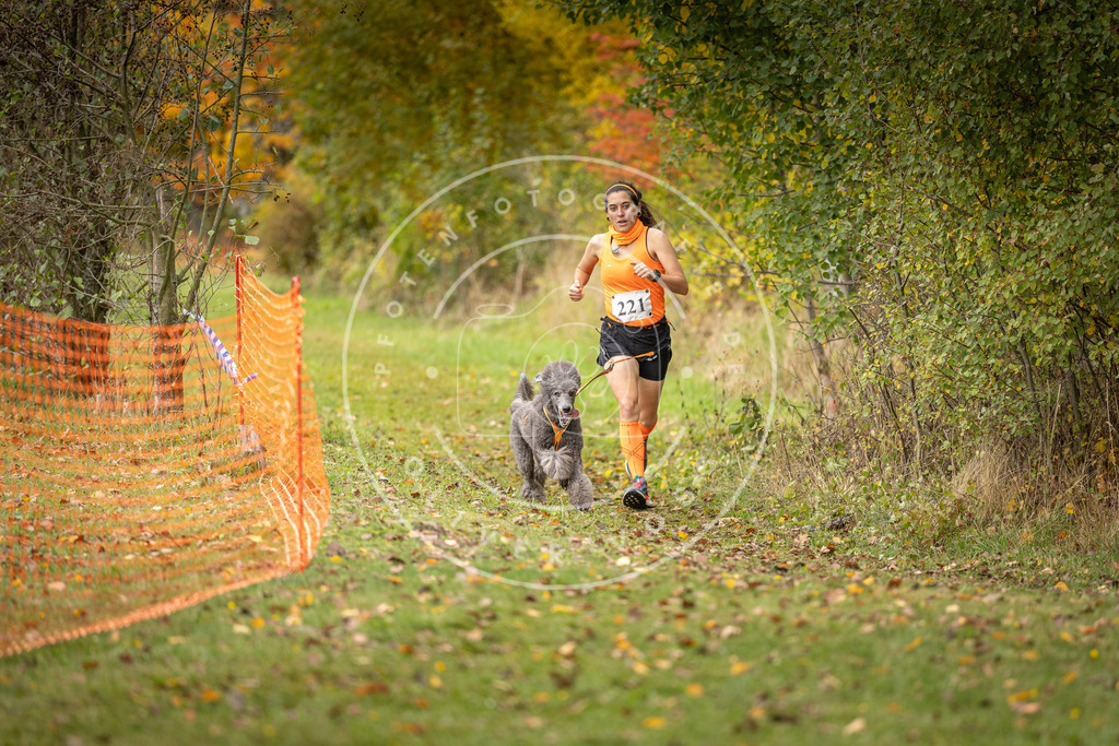Pfotenfotografie_DV3A4790 | Hundefotografie, Tierfotograf, Pfotenfotografie, Fotoshooting Hund, Hunde Portrait, Hundesport, Hundeportraits, Heideshooting, Hunde, Sportfotograf, Hundefotograf, Turnierhundsport, THS,  - Realisiert mit Pictrs.com