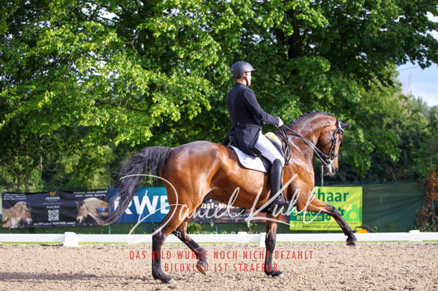 DKP41761 | Turnierfotos kaufen im Webshop von Daniel Kuhl Photography – entdecke professionelle Reitsportfotos aus Turnieren & Events. Hochwertige Turnierbilder online bestellen & sichern. Jetzt Fotos von Reitsportturnieren kaufen!