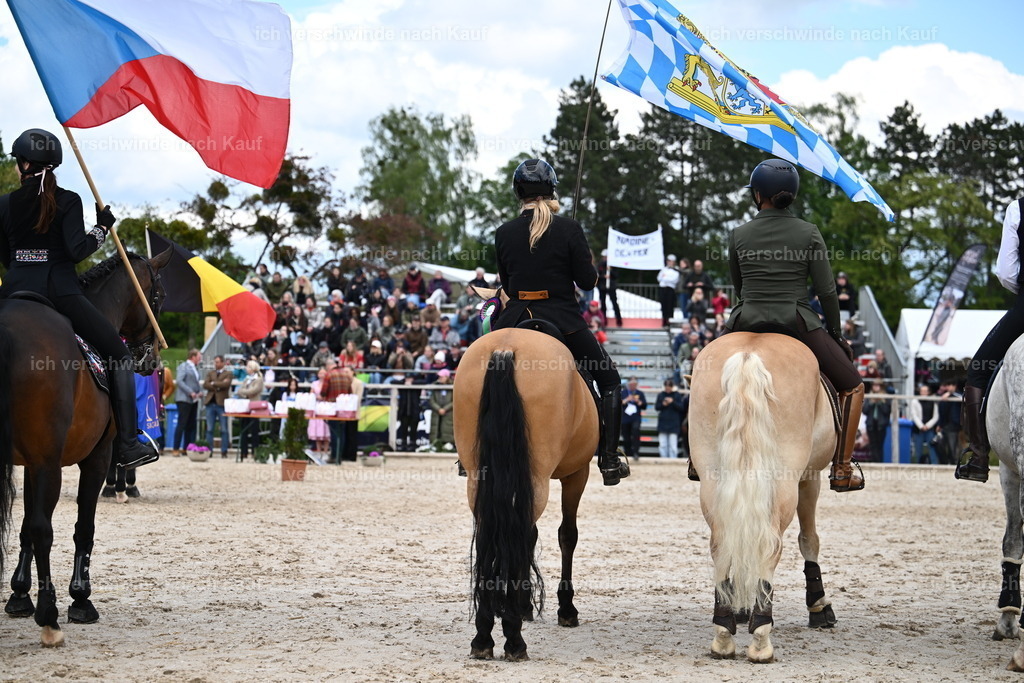 PI26_GesamtSEhrung_Sara_Landvogt_226_5943.JPG | working equitationturnier fotograf videograf stoibphotography marixx film working equitation deutschland reitsport turnierfotografie eventfotografie equestrian events