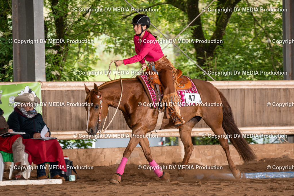 Erbach Tag 2-441 | dv-media-shop - Realisiert mit Pictrs.com