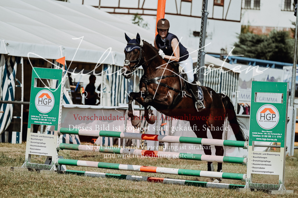 DSC_0011 | Pferde- und Turnierfotografie in Westsachsen. Pferdeportraits, Auftragszeichnungen und intuitive Kunst.
