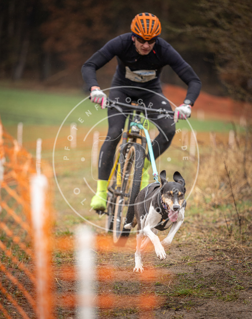 DV3A9013 | Hundefotografie, Tierfotograf, Pfotenfotografie, Fotoshooting Hund, Hunde Portrait, Hundesport, Hundeportraits, Heideshooting, Hunde, Sportfotograf, Hundefotograf, Turnierhundsport, THS,  - Realisiert mit Pictrs.com