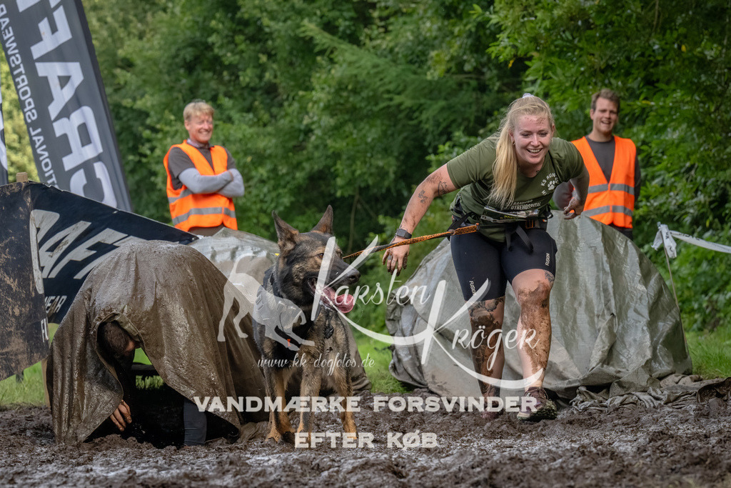1736_ZZ92913-Bearbeitet | kk-dogfotos