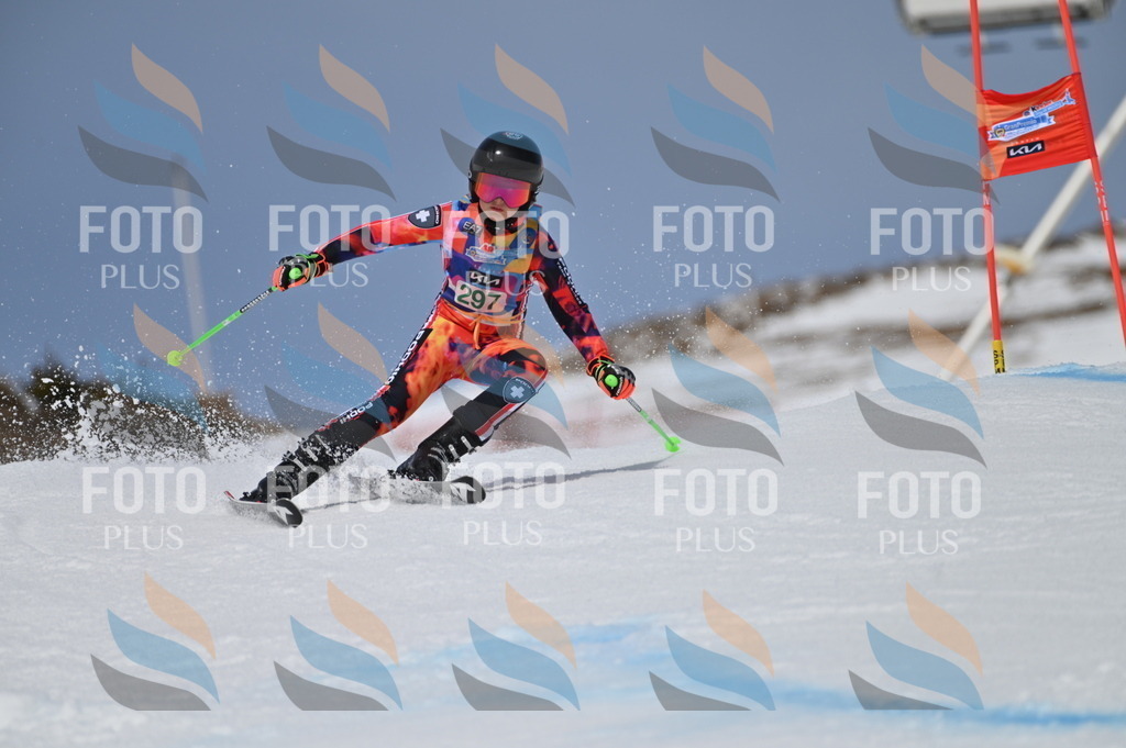 BGV_5915 | holidayphoto