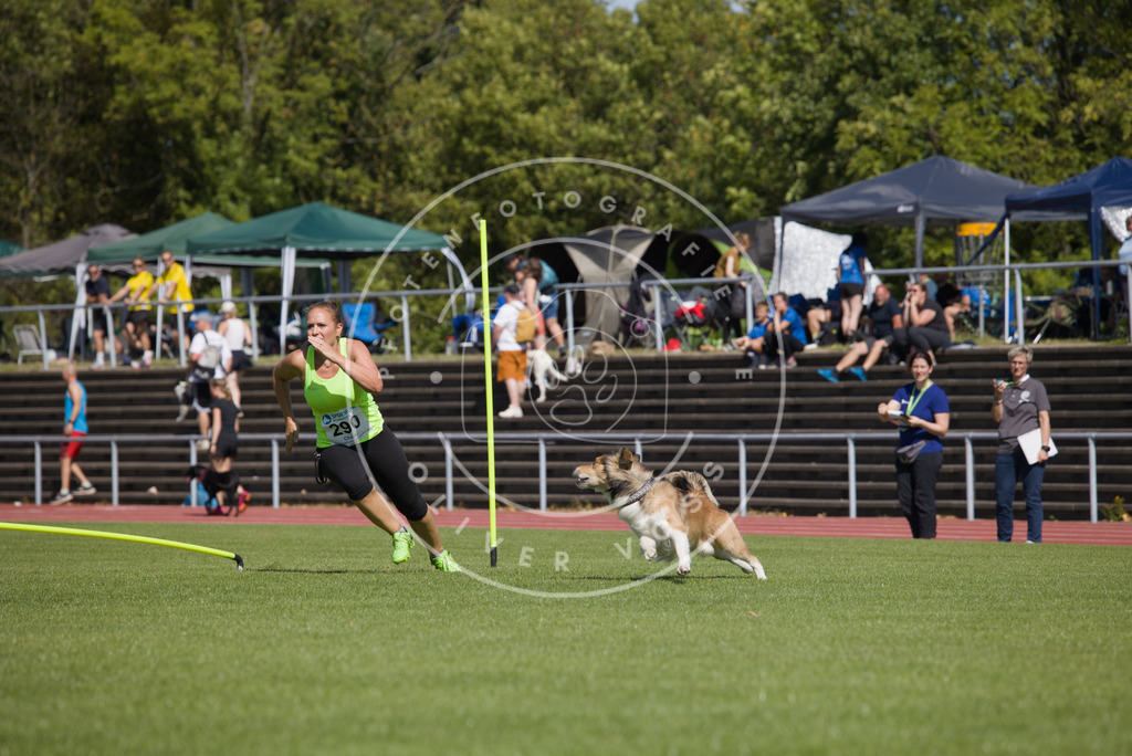 0L8A6994 | Hundefotografie, Tierfotograf, Pfotenfotografie, Fotoshooting Hund, Hunde Portrait, Hundesport, Hundeportraits, Heideshooting, Hunde, Sportfotograf, Hundefotograf, Turnierhundsport, THS,  - Realisiert mit Pictrs.com