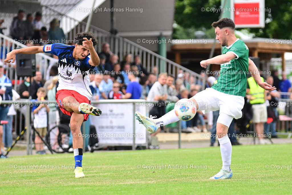 Fußball I Herren I Testspiel  I TSV Elstorf - Hamburger SV I 5.7.2025 | a-hannig - Realisiert mit Pictrs.com