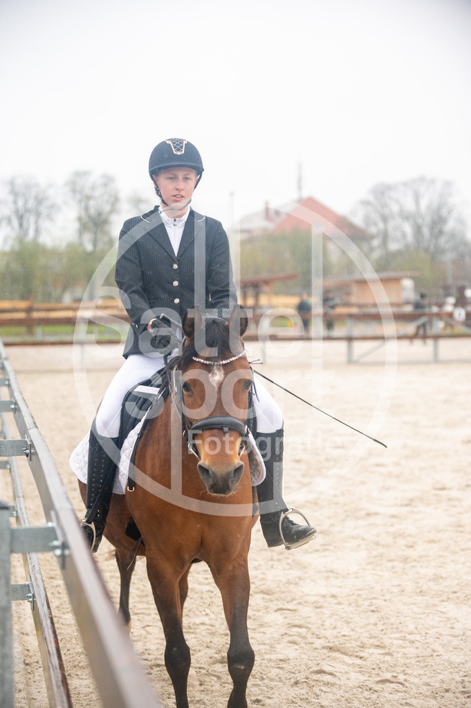 DSC_4029 | sattelsport - Realisiert mit Pictrs.com