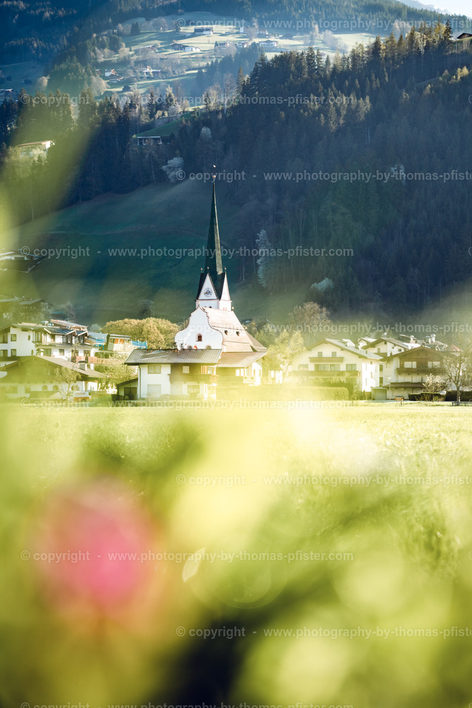 Stumm im Frühling copyright  Thomas Pfister-2 | PHOTOGRAPHY BY THOMAS PFISTER