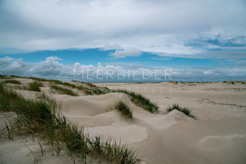 Nordseeinsel Amrum // Dünen auf dem Kniep | Gestalten Sie Ihr Zuhause mit einzigartigen Bildern von Ostsee u. Nordsee – als Leinwandbild, Acryl, Alu-Dibond oder FineArt Hahnemühle, individuell anpassbar.