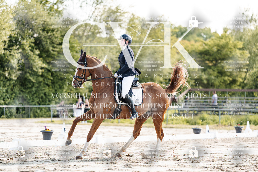 CK909355 | Turnierfotografie Pferdefotografie Trier Rheinland-Pfalz Pferdesport Reitsport Tierfotografie Sportfotografie Pferdevideo Pferdevideografie Equestrianvideography equestrianphotography  - Realisiert mit Pictrs.com