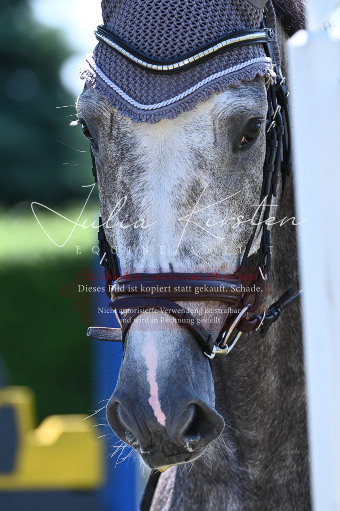 DSC_0539 | Pferde- und Turnierfotografie in Westsachsen. Pferdeportraits, Auftragszeichnungen und intuitive Kunst.