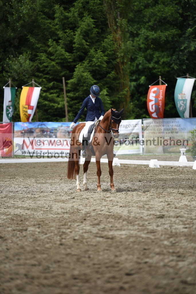 DSC_0934 | equestrian-live-com