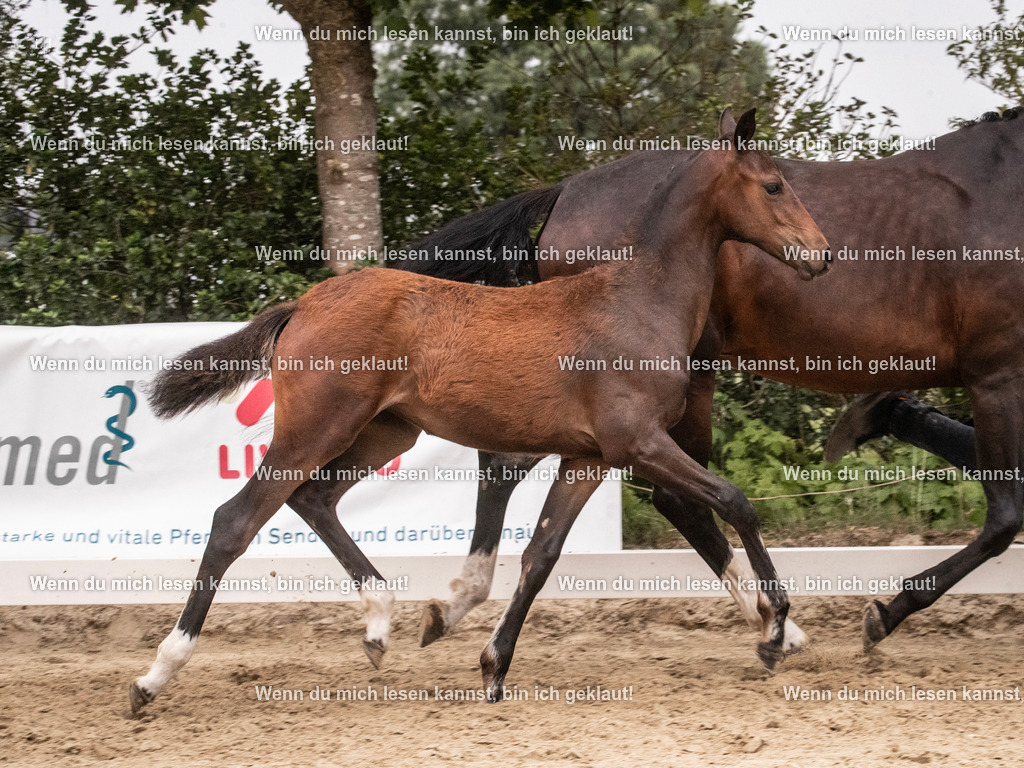 A10I7157 | photographylinaismer - Realisiert mit Pictrs.com