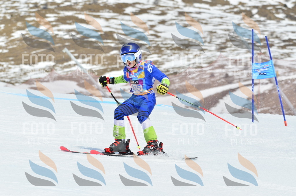 _ELE2255 | holidayphoto