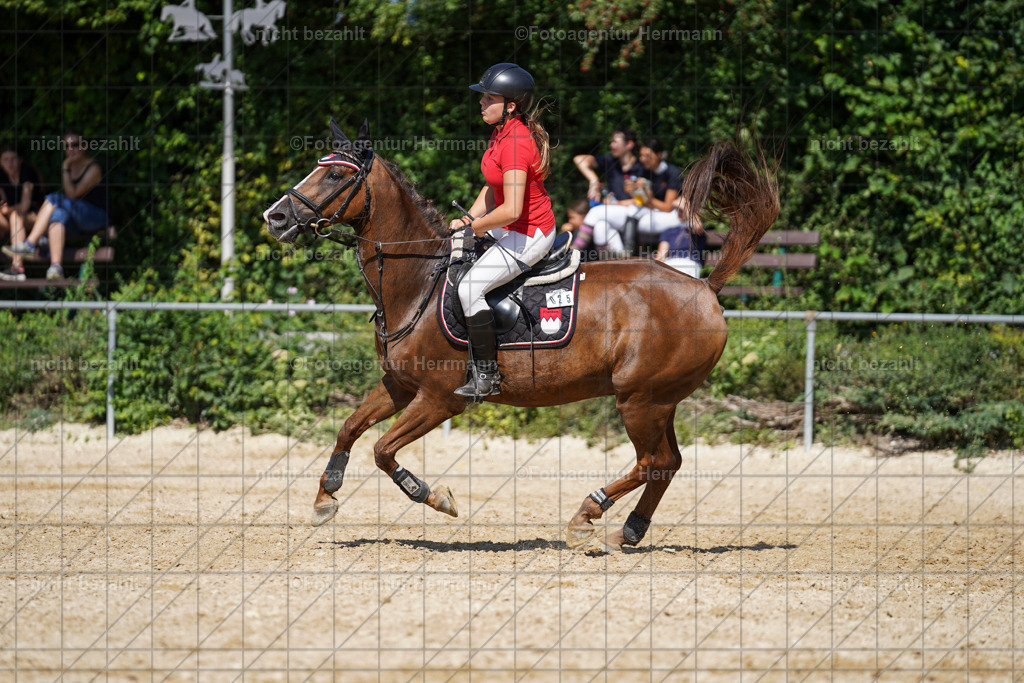 20240824-FAH08382 | Thierhaupten 2024, Bayerisches Landesponyturnier, Turnierbilder, Ponybilder, Turnierfotografen Bayern, Fotoagentur Herrmann