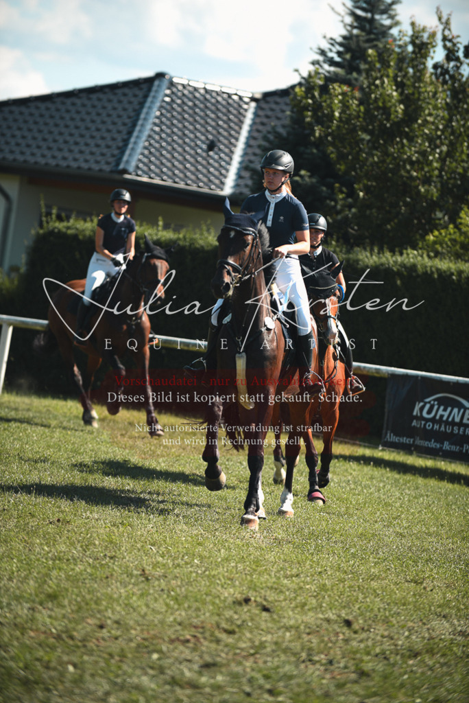 DSC_7341 | Pferde- und Turnierfotografie in Westsachsen. Pferdeportraits, Auftragszeichnungen und intuitive Kunst.