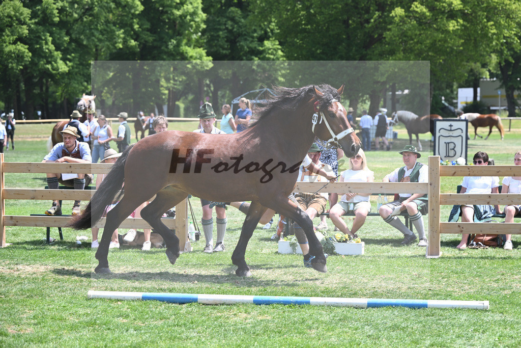 Kat-Nr. 47 Nymphenburg_Huber_20230744 | hf-fotografie - Realisiert mit Pictrs.com